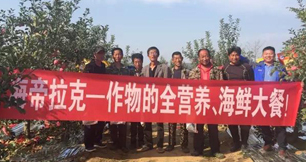 苹果树12月管理技术要点！抓紧时间看