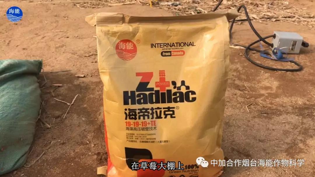 大量元素水溶肥