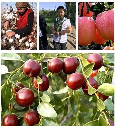 海帝拉克带你走进新疆----一起领略异域情怀 海帝拉克带你走进新疆----一起领略异域情怀