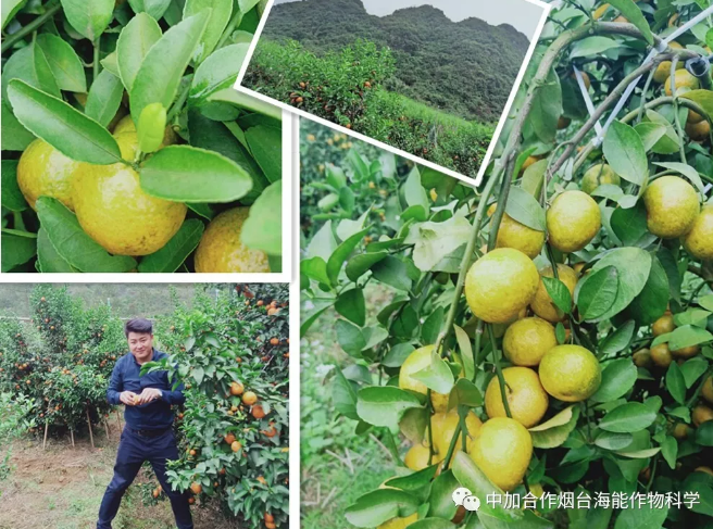 海帝拉克巅峰会议背后的故事来袭 海帝拉克巅峰会议背后的故事来袭