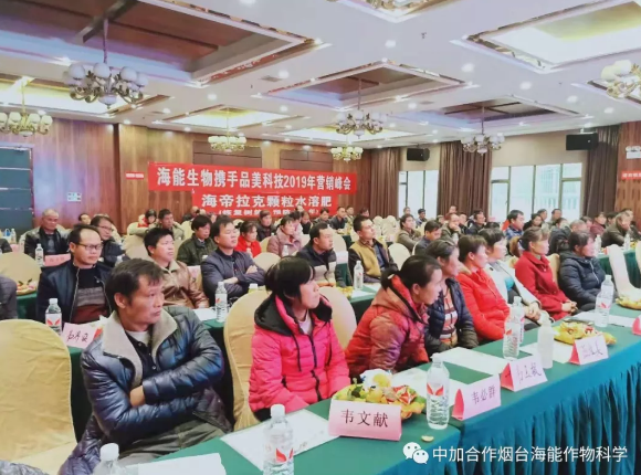 海帝拉克巅峰会议背后的故事第二集来袭