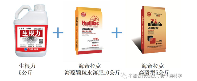 午夜福利国产视频生物高品质葡萄全程“傻瓜式”施肥方案