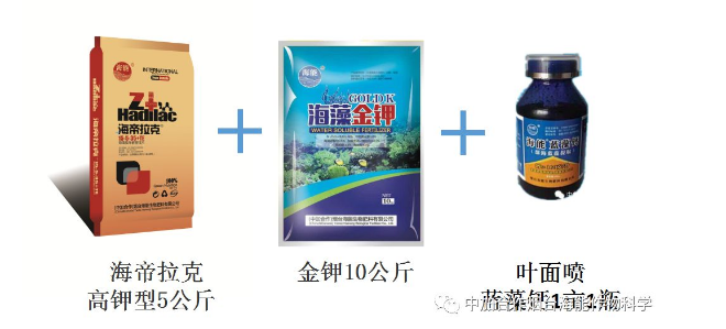 午夜福利国产视频生物高品质葡萄全程“傻瓜式”施肥方案