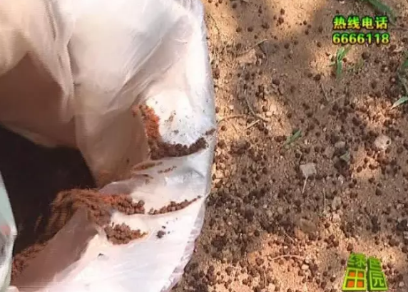 烟台电视台绿色田园海帝拉克专题报道