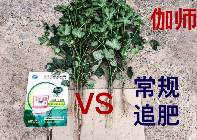 天山、戈壁、沙漠午夜福利国产视频与你在这里相遇