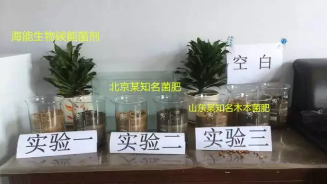 海帝拉克碳能菌剂试验报告 海帝拉克碳能菌剂试验报告