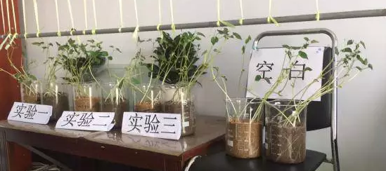 海帝拉克碳能菌剂试验报告 海帝拉克碳能菌剂试验报告