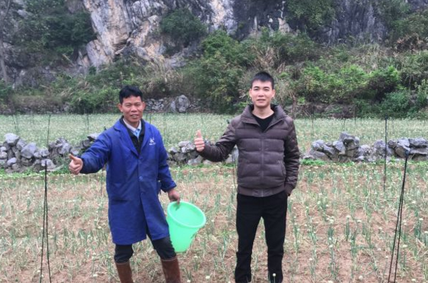 广西省柳州市柳江区柳江区六道镇梁老板香葱基地 广西省柳州市柳江区柳江区六道镇梁老板香葱基地