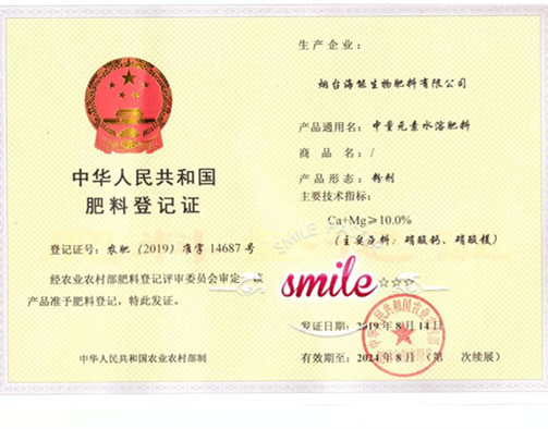 付出终会有回报，功夫不负有心人