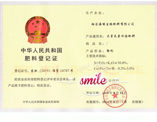 付出终会有回报，功夫不负有心人