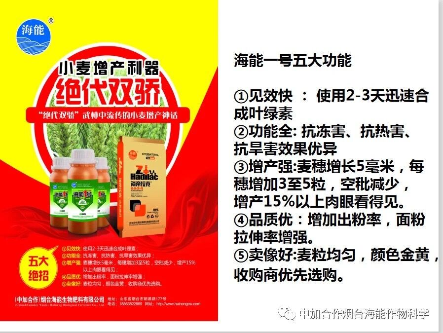 抗寒利器，午夜福利国产视频1号