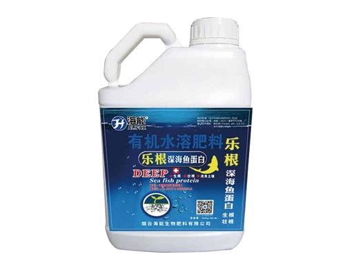 乐根鱼蛋白 乐根鱼蛋白
